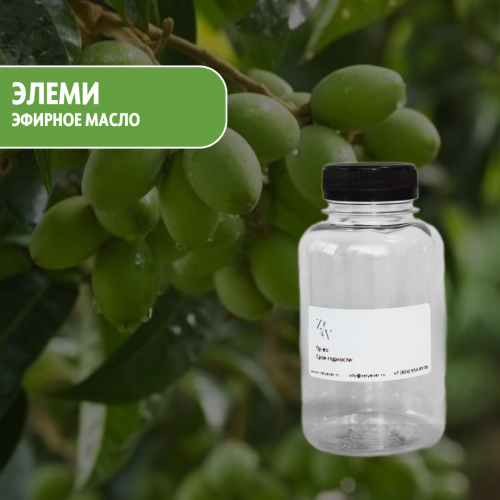 Эфирное масло Элеми (Elemi oil)